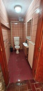 a bathroom with a toilet and a sink at Casa COLT DE RAI in Brezoi