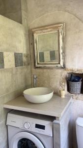 a bathroom with a sink and a washing machine at Le Clos du Vallon des Courances in Saint-Coutant-le-Grand