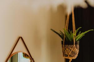 a plant in a pot next to a mirror at Lovely Bohemian Apartment in Heart of City Life in Glasgow