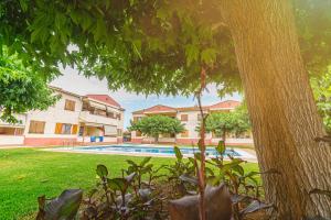 ビナロスにあるApartamentos Aigua Olivaのプールと木のある家の景色