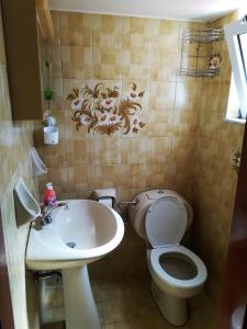 a bathroom with a toilet and a sink at Stamatia's House in Haraki