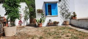 Giardino di TRULLO PIETRAPOESIA