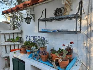 Foto dalla galleria di TRULLO PIETRAPOESIA a Ostuni