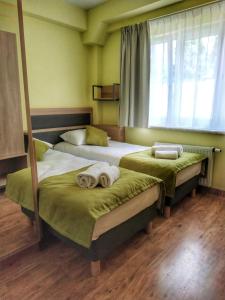 sypialnia z 2 łóżkami z zieloną pościelą i oknem w obiekcie Sandacz Otmuchów w mieście Otmuchów
