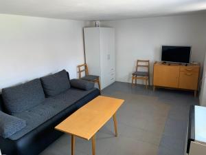 TV in/ali zabaviščno središče v nastanitvi U Lokálky