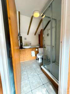 a bathroom with a glass shower and a toilet at Holmdale Holiday Cottages in Rye