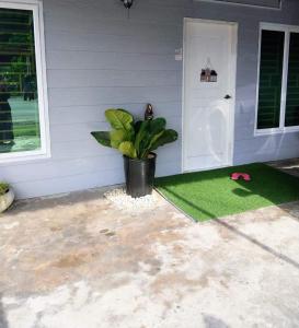 a porch with a potted plant next to a door at Azie Homestay in Kota Bharu