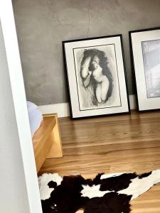 Fotografie z fotogalerie ubytování Boutique REZIDENCE BAAR v destinaci Nový Jičín