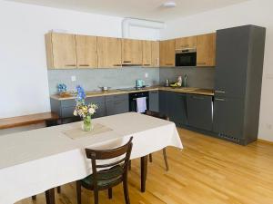 Kuchyň nebo kuchyňský kout v ubytování Stylový apartmán ArtDeco