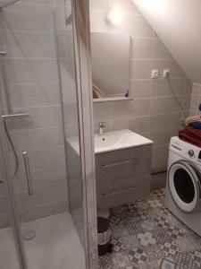 a small bathroom with a sink and a washing machine at Le Manoir à proximité de Tours in Chanceaux-sur-Choisille +13 photos
