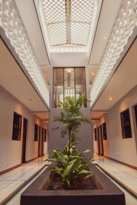 Gallery image of POSADA SAN FRANCISCO in Dolores