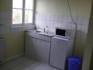 eine Küche mit einer Spüle und einer Mikrowelle auf einem Kühlschrank in der Unterkunft Apartments Weisser Reiter in Elfershausen