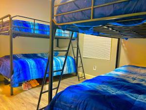 um quarto com 2 beliches e lençóis azuis em STOP Inn STAY HOSTEL em Houston