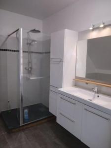 a white bathroom with a shower and a sink at Le Manoir à proximité de Tours in Chanceaux-sur-Choisille
