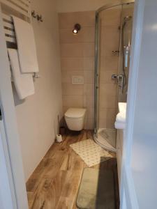 a small bathroom with a shower and a toilet at Apartament w Chęcinach in Chęciny