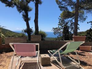 Montenero的住宿－Villa Erika，两把椅子坐在一个有海洋背景的庭院里