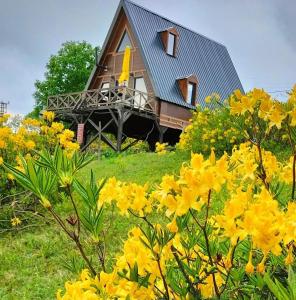 une maison avec des fleurs jaunes devant elle dans l'établissement Zifinbungalov, à Akcaabat