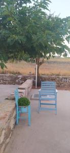 two blue benches sitting next to a tree at Theros house in Kythira