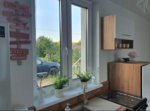 a kitchen with a window with potted plants on a counter at Dom wczasowy , nad jeziorem z możliwością wędkowania do 7 osób in Mielno