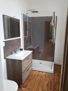 ein Bad mit einer Dusche, einem Waschbecken und einem Spiegel in der Unterkunft 2 chambres indépendantes dans Maison de maitre in Carmaux