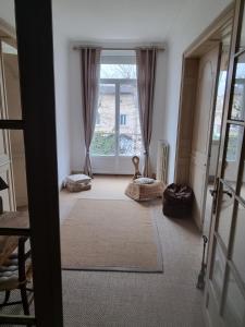 ein Wohnzimmer mit einem großen Fenster und einem Teppich in der Unterkunft 2 chambres indépendantes dans Maison de maitre in Carmaux