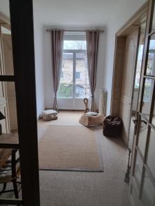 a living room with a large window and a rug at 2 chambres indépendantes dans Maison de maitre in Carmaux