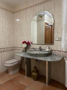 a bathroom with a sink and a toilet and a mirror at CASA SEBASTIANA SUITE in Losar de la Vera