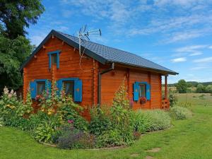 a wooden cabin with blue windows and a roof at Smocze Ranczo in Ośno Lubuskie