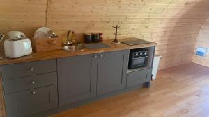 a kitchen with a counter with a sink and a stove at Railway Pod, Castlewellan in Castlewellan