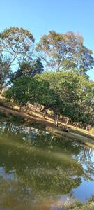 grupa drzew obok zbiornika wodnego w obiekcie Chacara bica dágua w mieście Pirenópolis