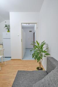 Zdjęcie z galerii obiektu Apartament Słoneczny 7 w mieście Opole