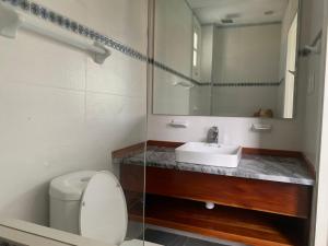 a bathroom with a sink and a toilet and a mirror at Hostal San Lázaro 1103 in Havana