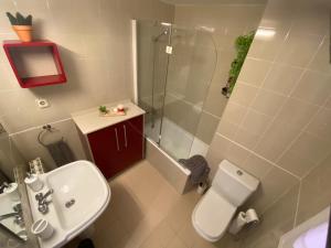 y baño con aseo, lavabo y ducha. en Topitos Apartment Casc Antic, en Tarragona