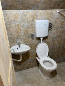 a bathroom with a toilet and a sink at Brvnara Krin 1 in Nova Varoš +5 photos