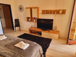 salon z telewizorem z płaskim ekranem i łóżkiem w obiekcie Skitnica Gold w mieście Koprivnica