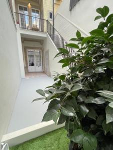 a staircase in a house with a plant at TOP Porto in Porto