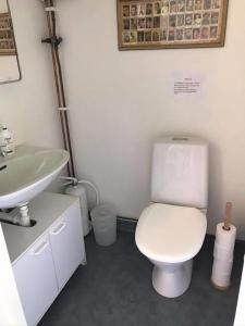 a bathroom with a white toilet and a sink at Liten ”stuga” in Falkenberg