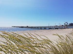a beach with a pier in the water and grass at Liten ”stuga” in Falkenberg