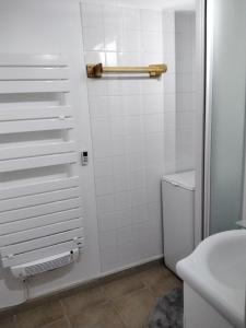圣吉尔-克鲁瓦德维Appartement fonctionnel, vue imprenable mer的带马桶和水槽的白色浴室
