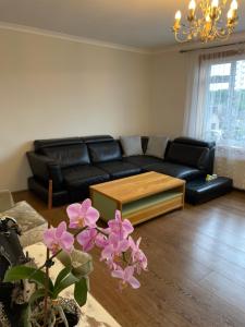 Gallery image of Cheerful 2 bedroom flat with free parking in Edinburgh