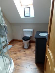 a bathroom with a toilet and a sink at White Cottage B and B in Spilsby