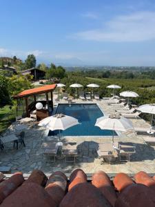 a swimming pool with chairs and umbrellas at Il Palazzetto in Clavesana