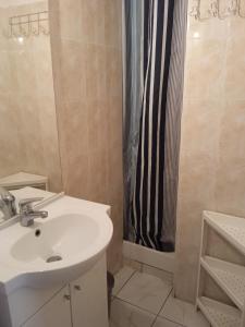 bagno con lavandino e tenda doccia di VACANCES IDEALES EN BORD DE MER a Marseillan