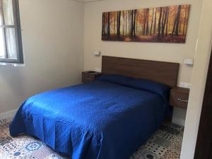 Un dormitorio con una cama azul y una pintura en la pared en Casa Aurita, en Ansó
