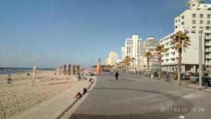 a beach with buildings and palm trees and people on a sidewalk at Private rooms near the beach center in Tel Aviv