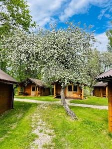 Fotografie z fotogalerie ubytování Poilsio gyvenvietė "Obuolių sala" v destinaci Molėtai