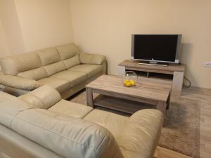 a living room with a couch and a table with a tv at Apartman Marina in Sajmište