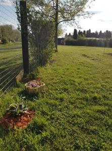 ZöldPortál Vendégház Tiszanána -Dinnyéshát 3533 Dinnyéshát, Szeder utca 5. kép - 2