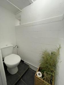 a bathroom with a toilet and a plant in a basket at Appartement cocooning in Saorge