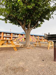 a wooden bench sitting under a tree at The Classic Desert Aire Hotel in Alamogordo